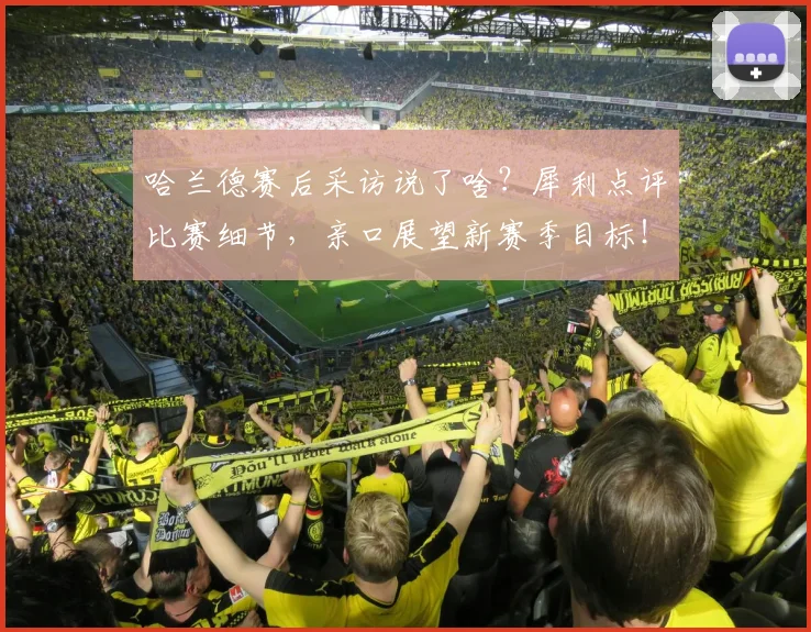 哈兰德赛后采访说了啥？犀利点评比赛细节，亲口展望新赛季目标！