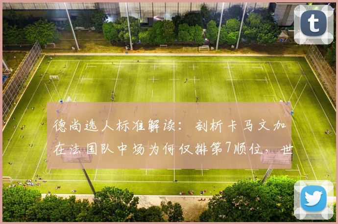 德尚选人标准解读：剖析卡马文加在法国队中场为何仅排第7顺位，世界杯前景分析