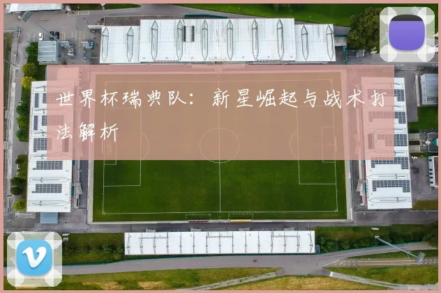 世界杯瑞典队：新星崛起与战术打法解析