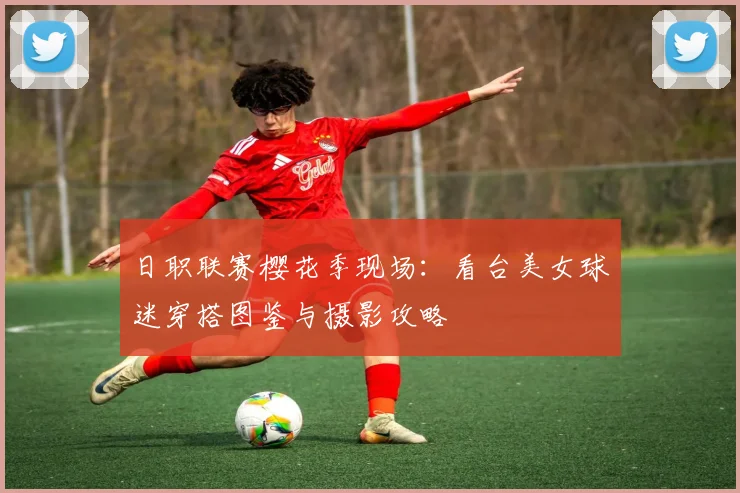 日职联赛樱花季现场：看台美女球迷穿搭图鉴与摄影攻略