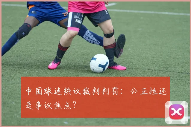 中国球迷热议裁判判罚：公正性还是争议焦点？