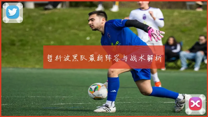 哲科波黑队最新阵容与战术解析