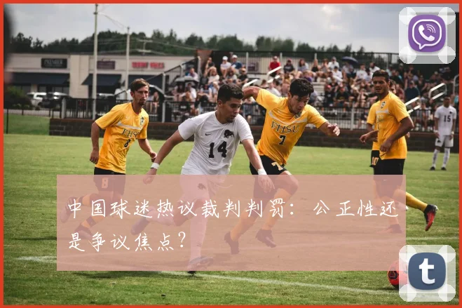 中国球迷热议裁判判罚：公正性还是争议焦点？